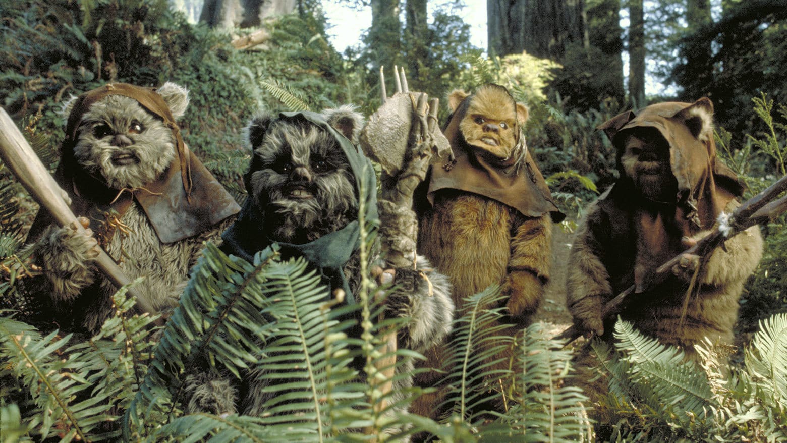 What Is An Ewoks Home